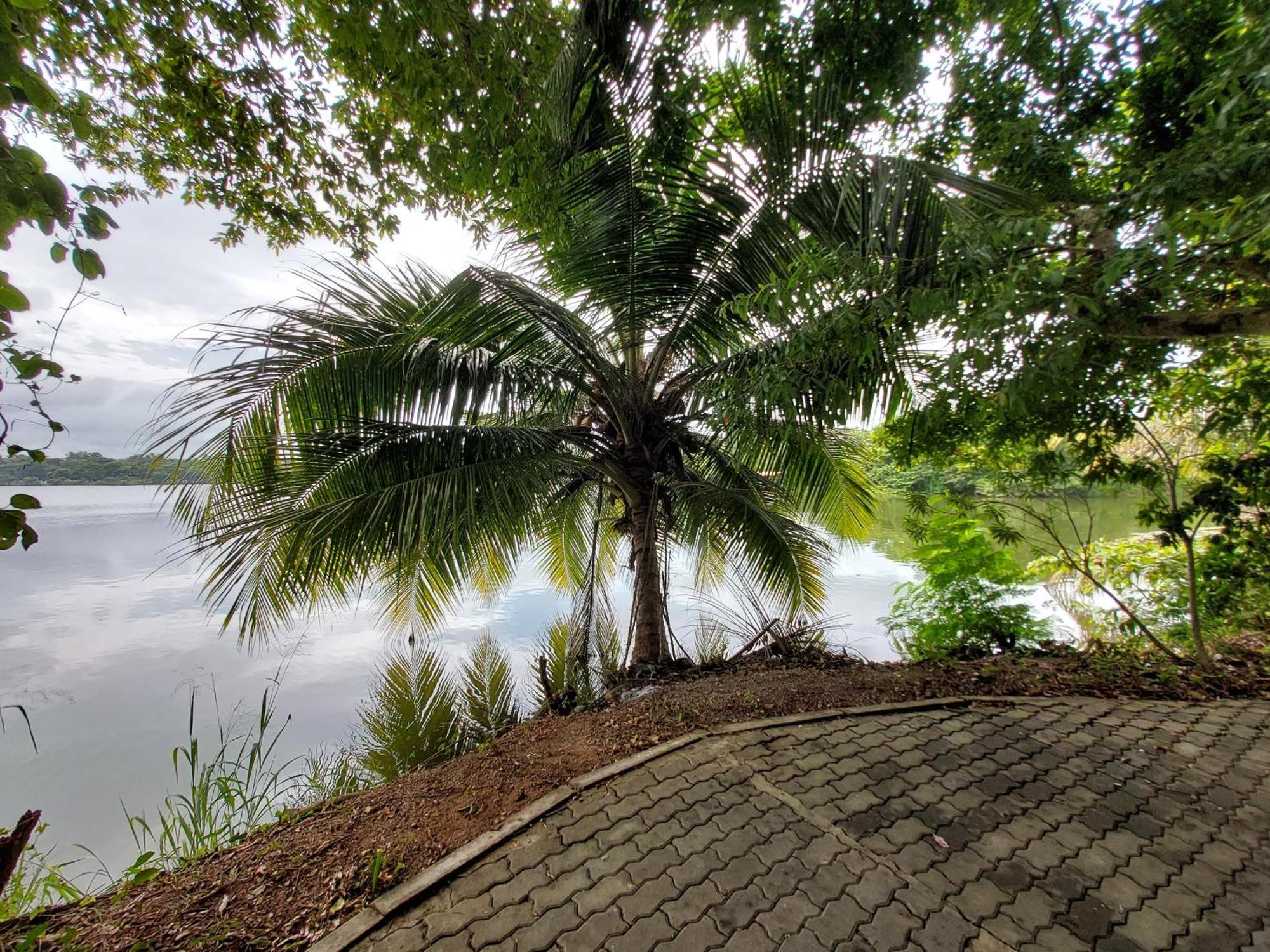 Lake Wave Hotel Anuradhapura Bagian luar foto