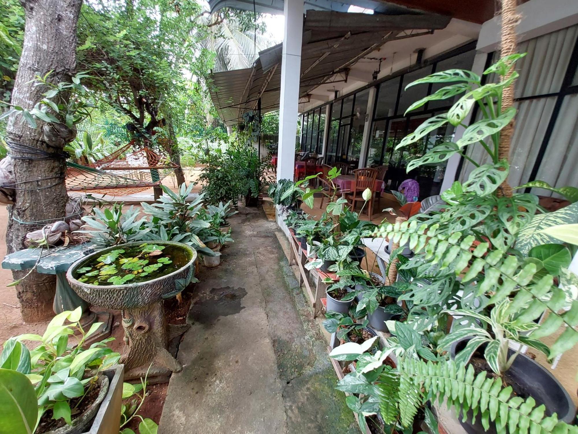 Lake Wave Hotel Anuradhapura Bagian luar foto